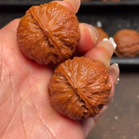 文玩核桃吊坠秦岭野生核桃