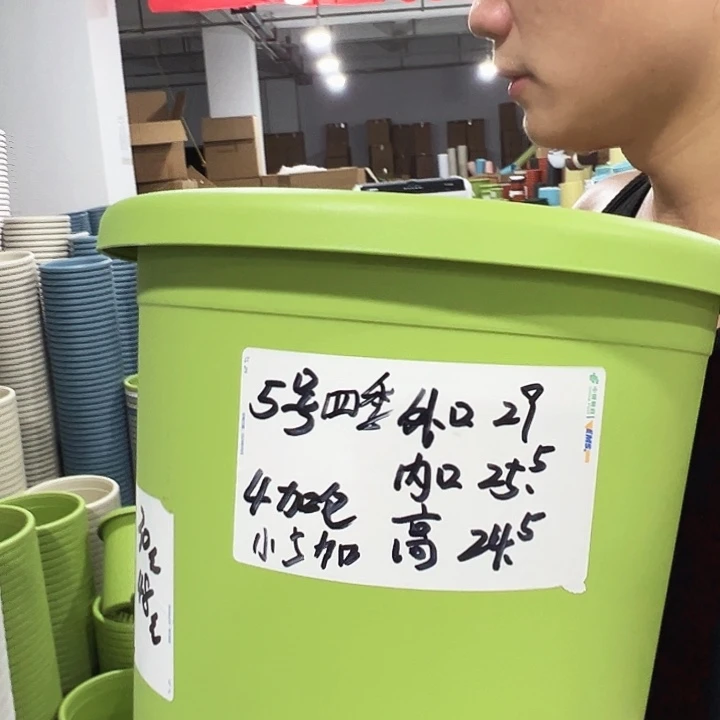 特价5号口29高24.5果绿带托6只