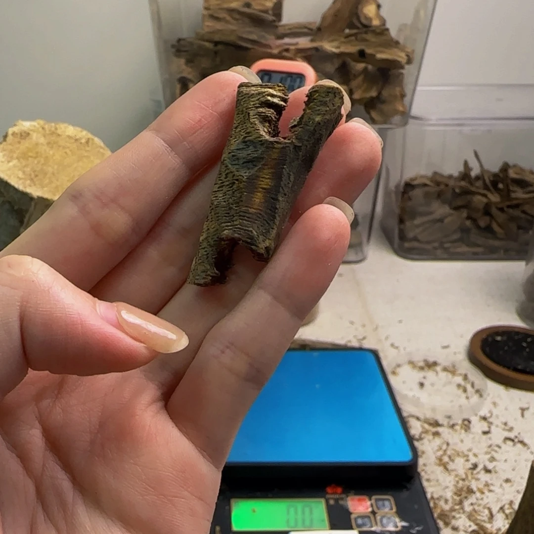 沉香沉香碎屑海南鸡母虫 9