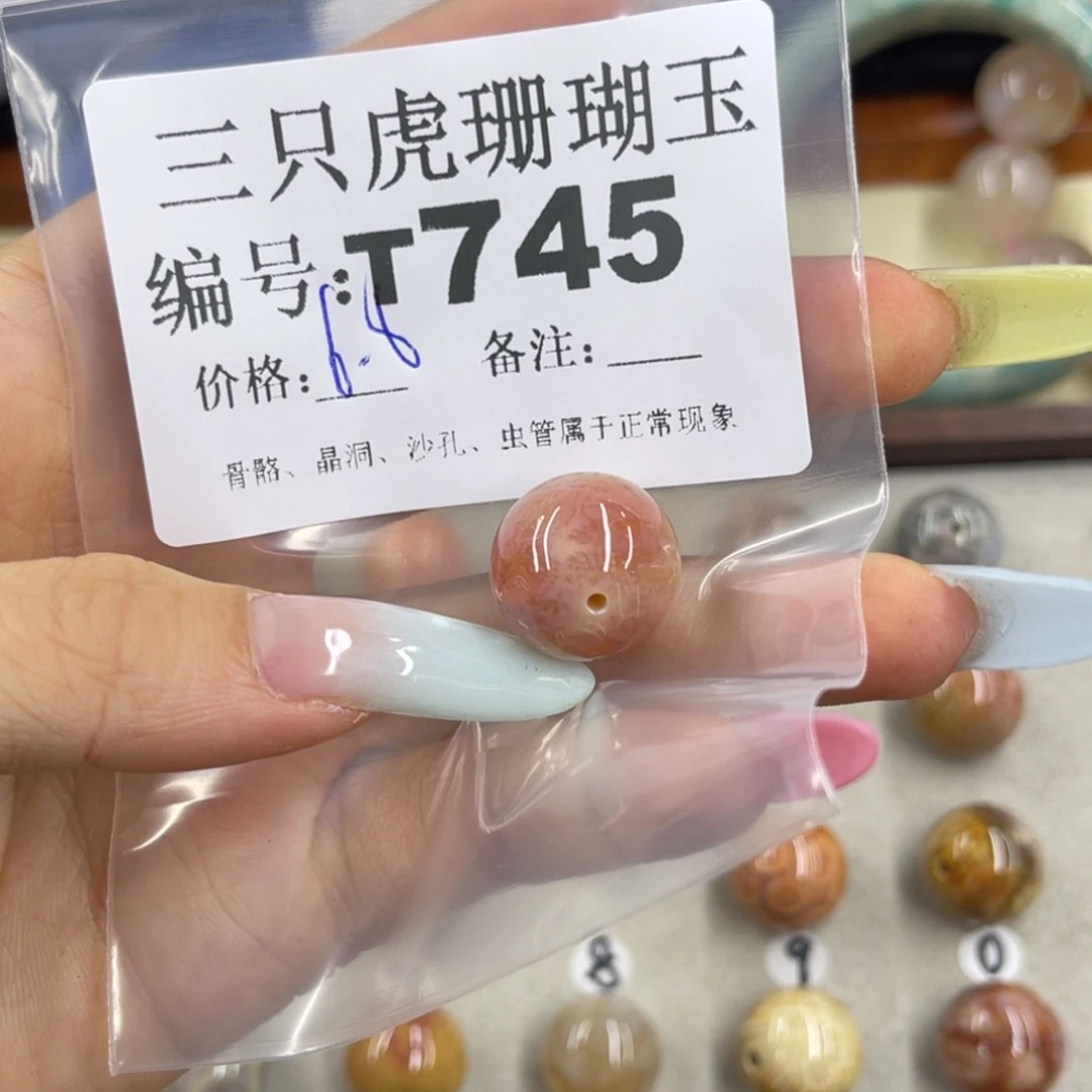 @****硅化珊瑚（珊瑚玉）h银S925镀金镶嵌