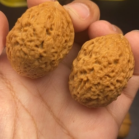 文玩核桃把件35尺云南核桃