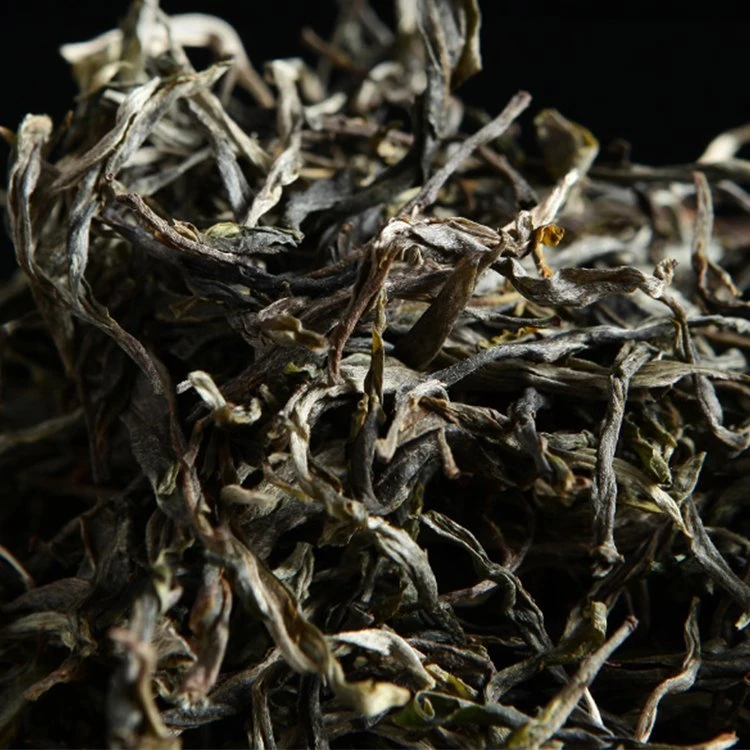 【茶房散茶】2024年·头春头采·晒青毛茶散料