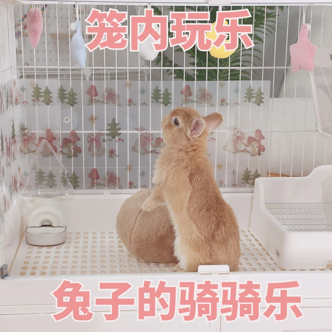 兔子玩具发泄解闷仿生屁屁球自嗨神器龙猫豚鼠成幼兔通用玩具