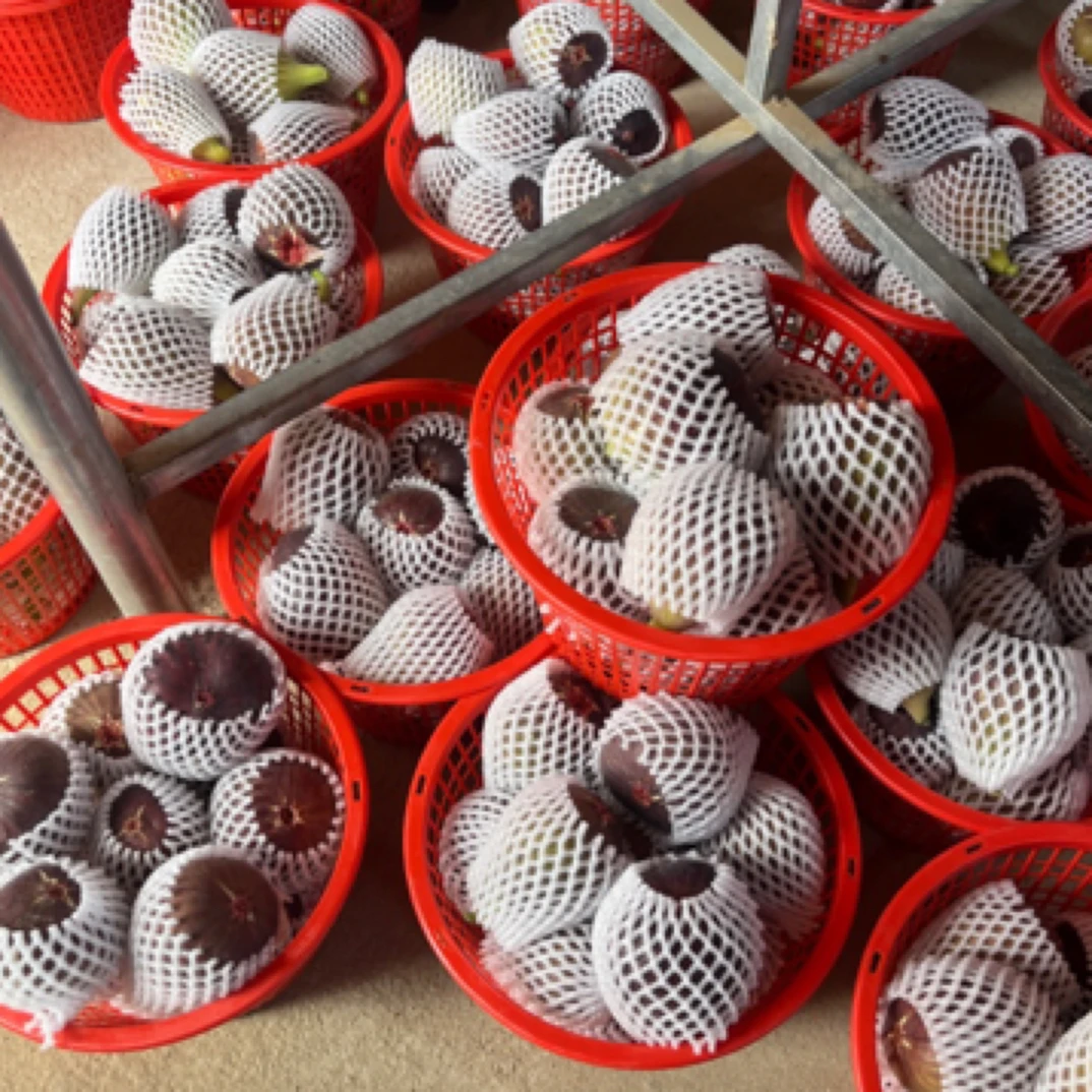 东张波姬红无花果孕妇当季水果