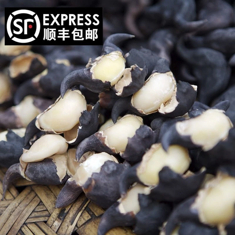 洪湖菱角新鲜老菱角现摘现发湖北菱角农家特产新鲜蔬菜顺丰包邮