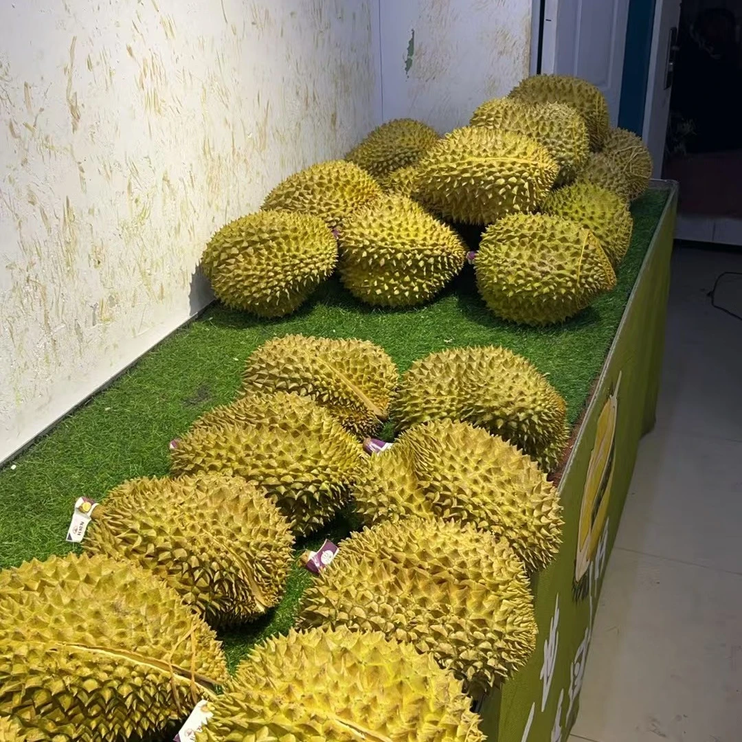 鲜榴莲，软糯香甜，现拍现送，一颗3-5斤，肉大核小金枕