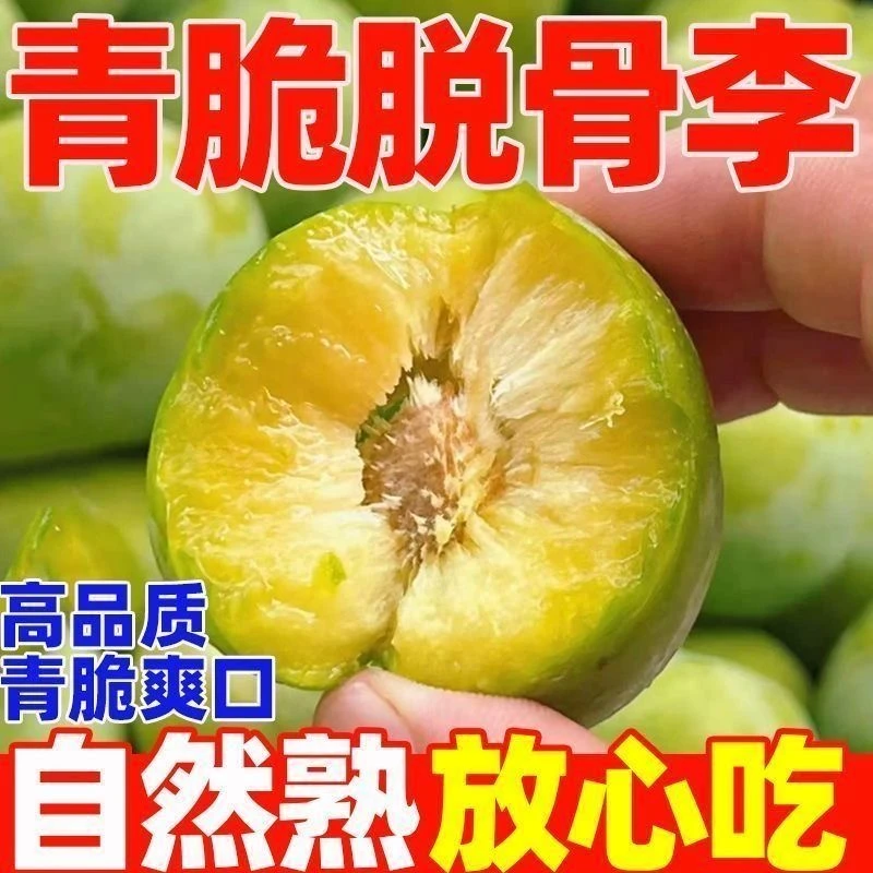正宗农家脱骨李青脆李脆甜多汁新鲜水果李子包邮【万山】