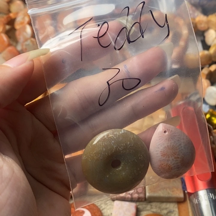 T***y颈饰未镶嵌硅化珊瑚（珊瑚玉）