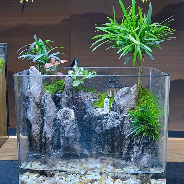 无花朵小桥流水人家