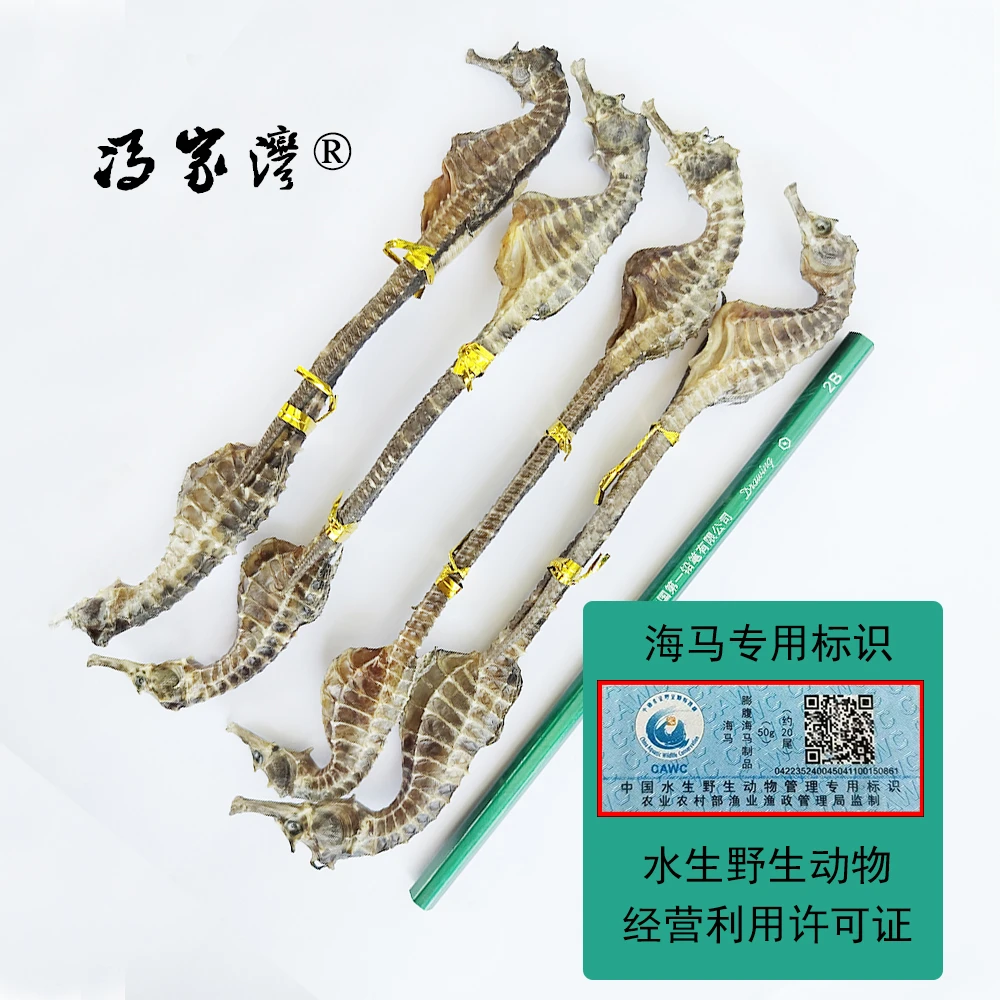 膨腹海马正品保真公母搭配足干海龙马海干货适合煲汤泡酒做汤料