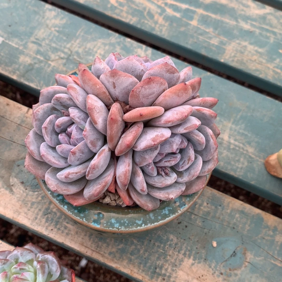 哈哈哈哈哈哈哈哈哈哈