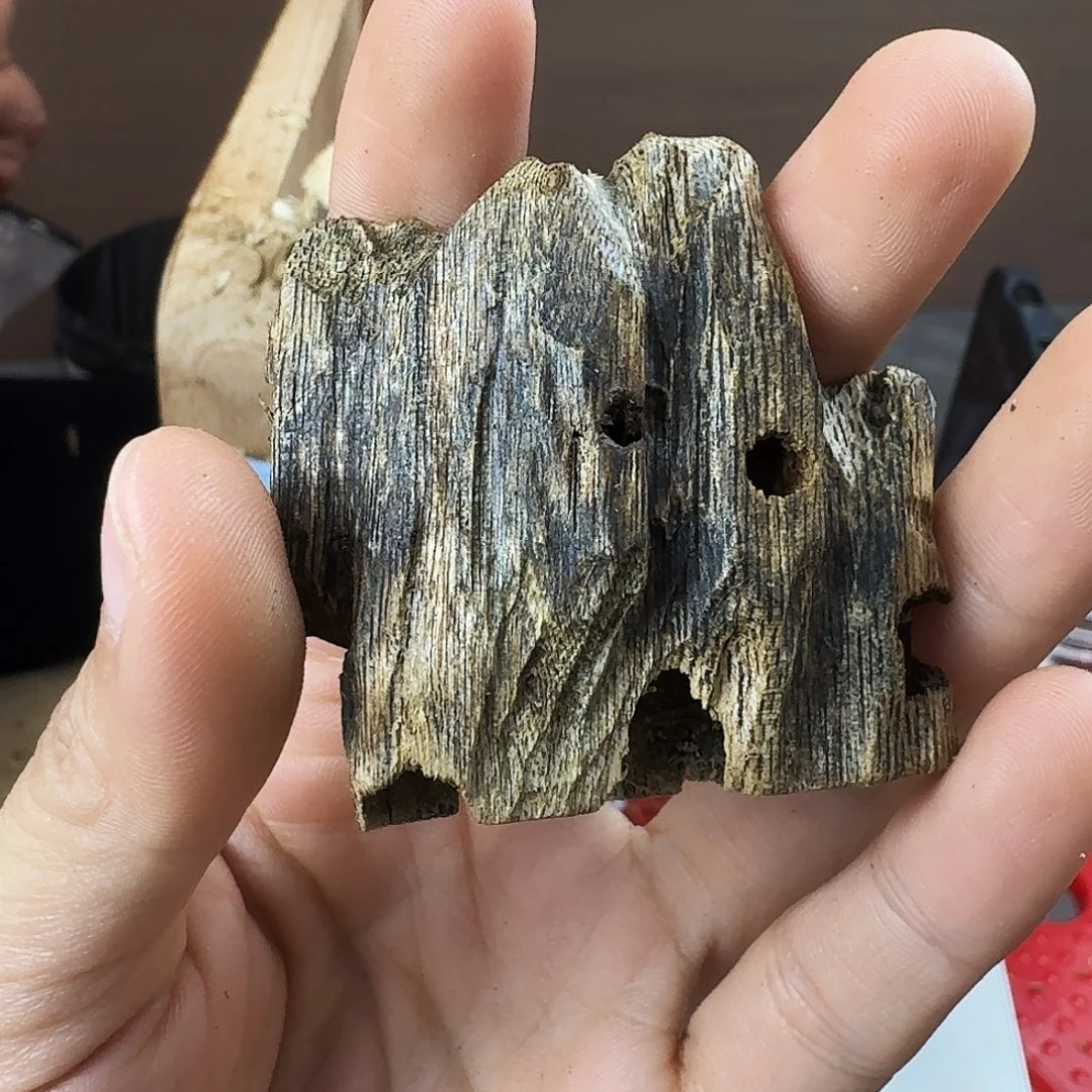 香料绿奇楠虫漏9克