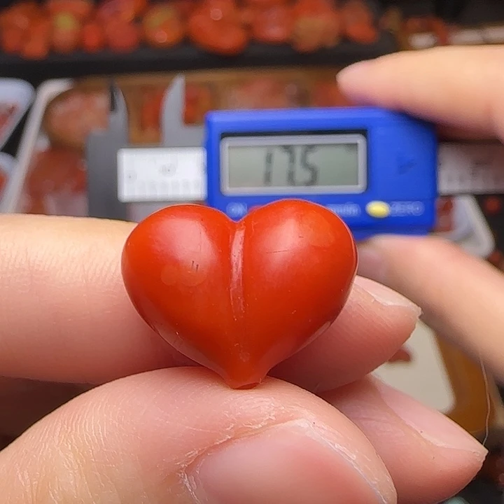 米****南红玛瑙未镶嵌颈饰