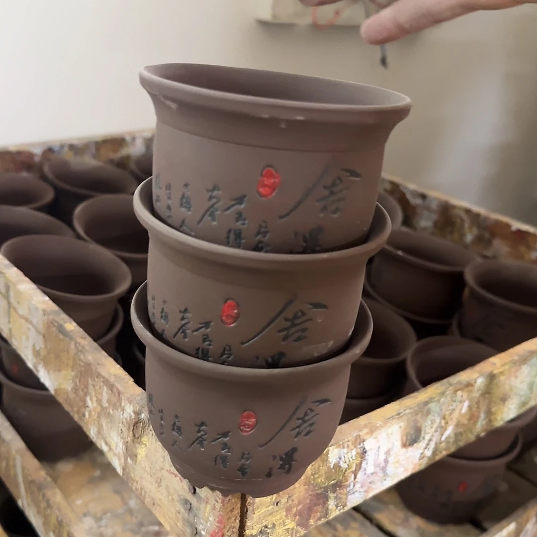 3个福利局绿植多肉盆［凑9元包邮24小时发］