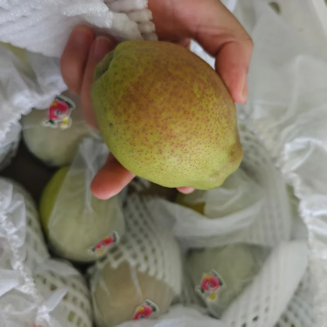 大库尔勒香梨（三斤装）