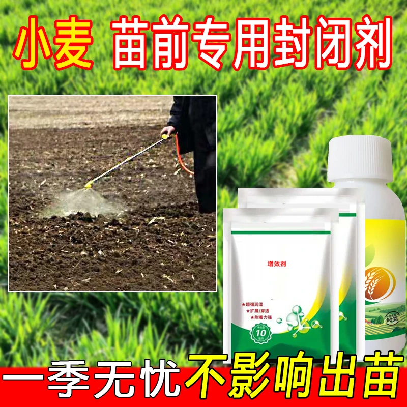 （拍1发3）小麦苗麦地田间通用家用灭杀喷雾剂