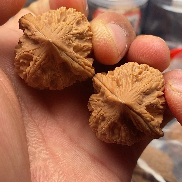 文玩核桃把件基因