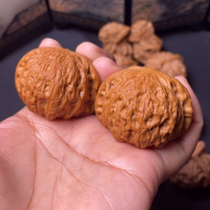 核桃41矮桩铁锤。