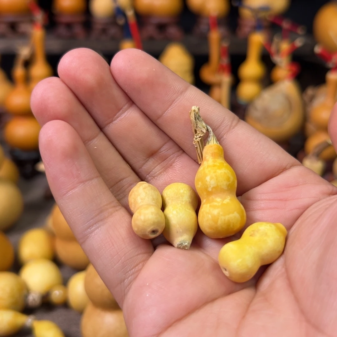 空***芦葫芦直播间精品葫芦链接