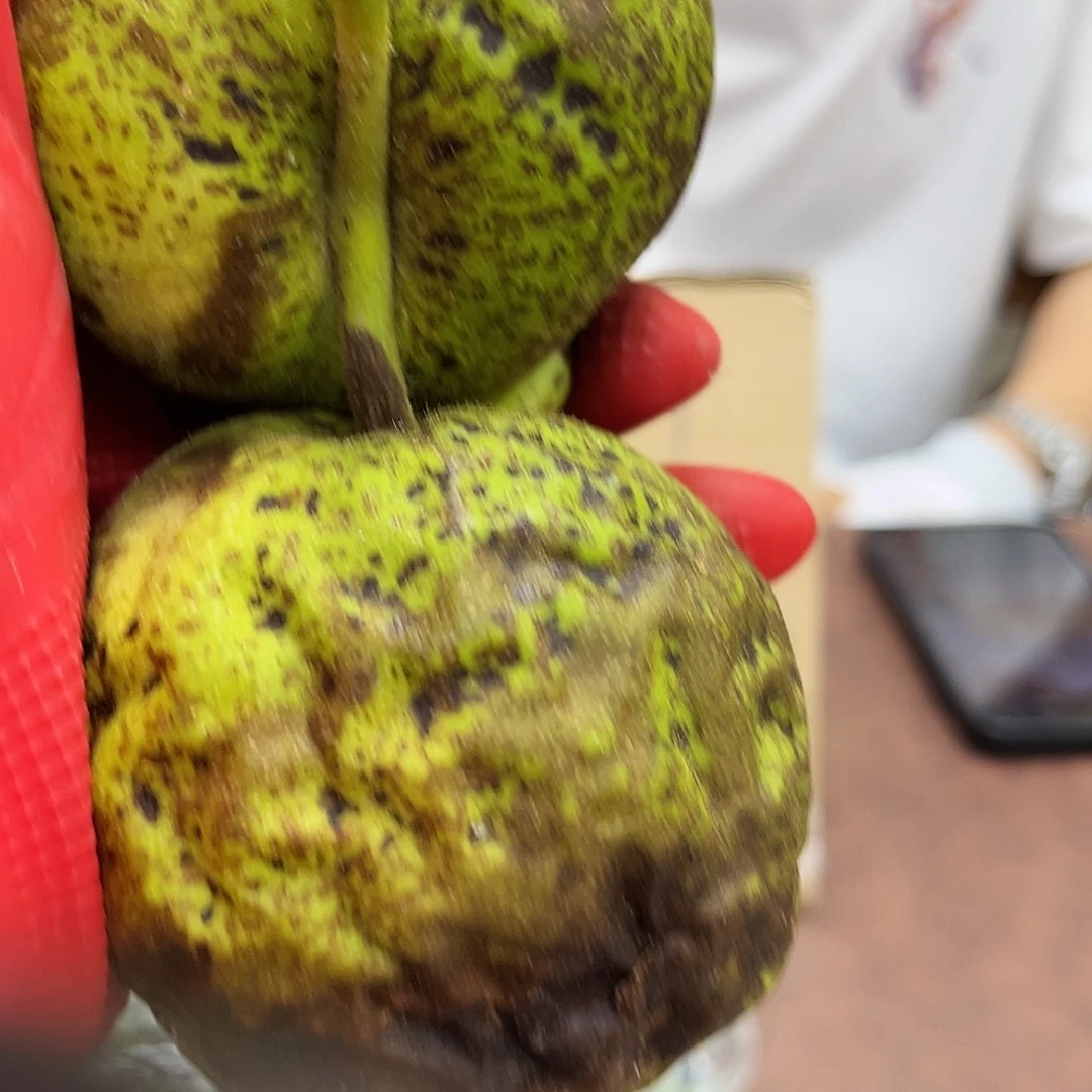 南***叔吊坠文玩核桃华坤龙