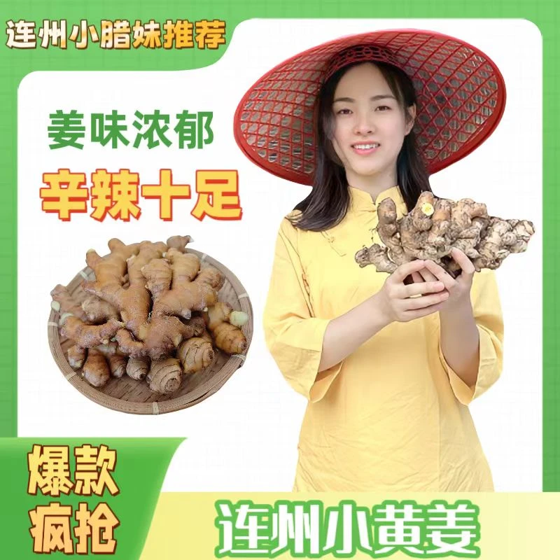连州小黄姜 姜味浓郁 辛辣十足 窖藏精品