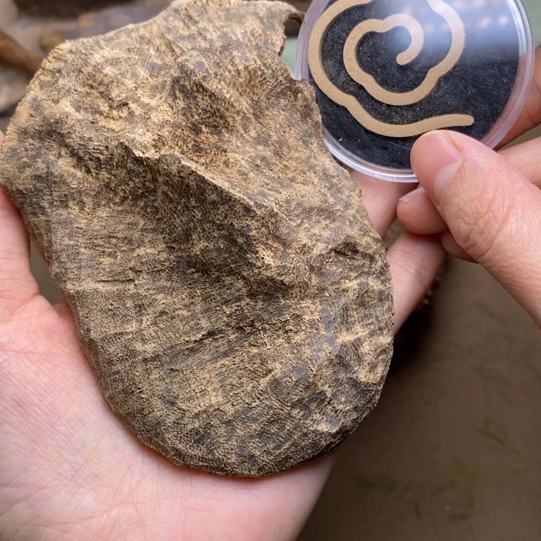 散***x海南13克。