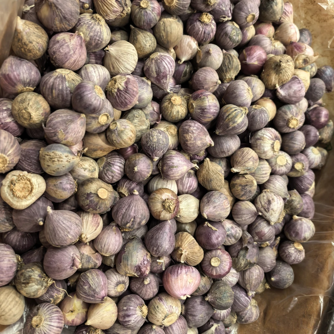 云南土特产紫皮独头香蒜