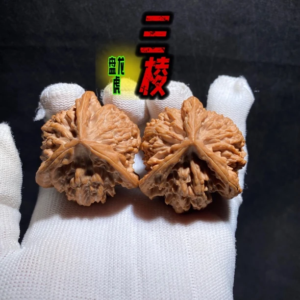 盘龙虎三棱 天然异形 老款老品种 骨质皮色都是级别高的品质