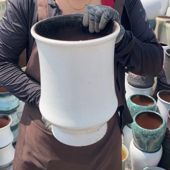 口20高31正品正品