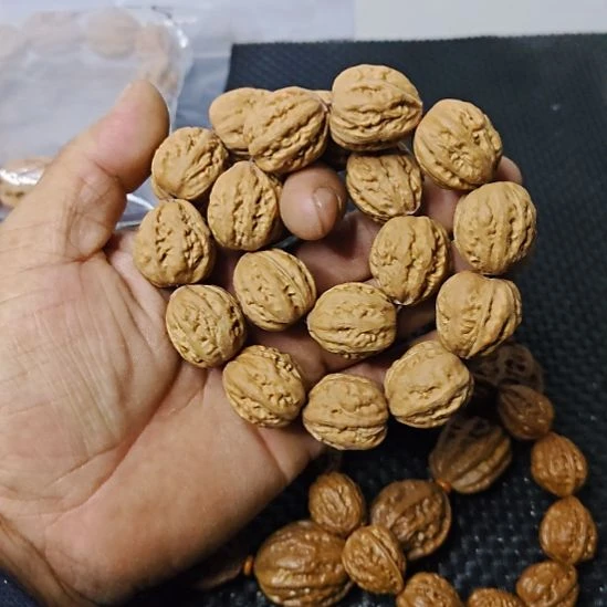 木质类纯野生山核桃       4