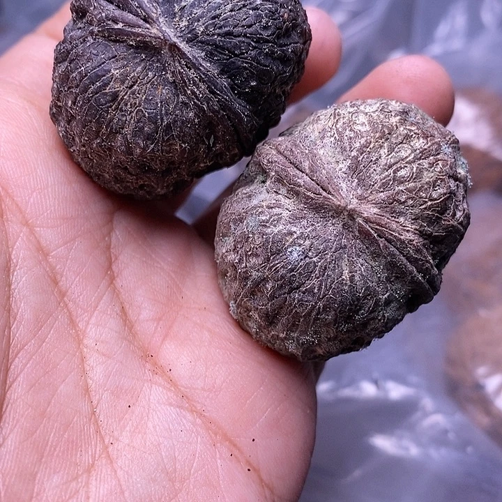 文玩核桃把件   195