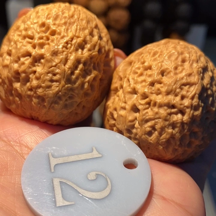 美***峰龙鳞铁狮子42尺寸