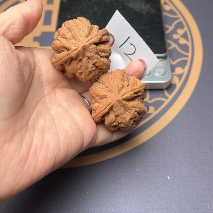 文玩核桃把件41大粗筋