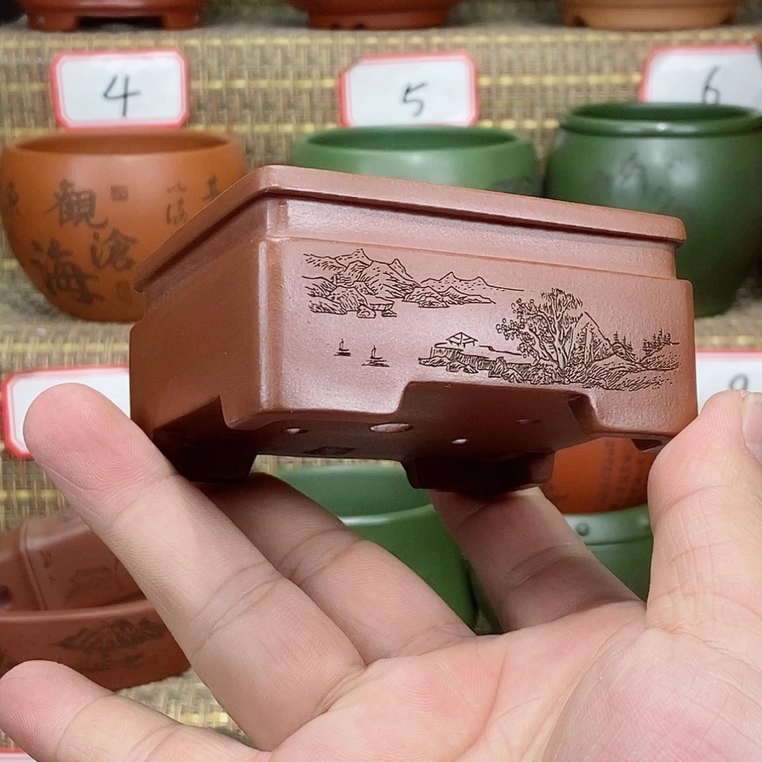 紫砂花盆我在看书