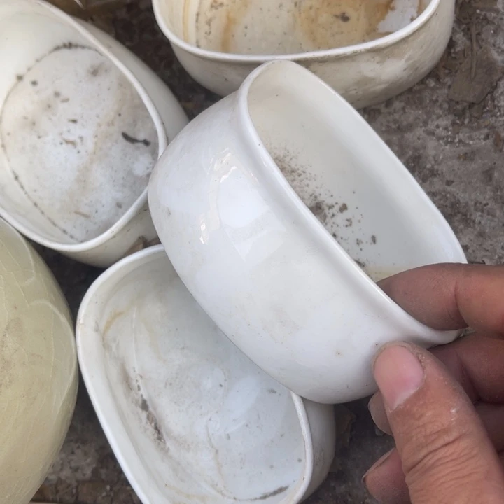 其他瓷骨瓷小方盒4个