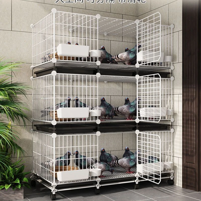 天雪纳鸽子笼家用特大号养鸽子专用笼巢箱新型养殖柯尔大号鸟笼子