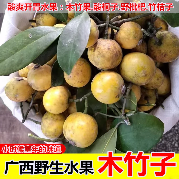 广西贺州野生水果木竹果木熟竹节子竹桔子竹酸桐子黄牙果野枇杷