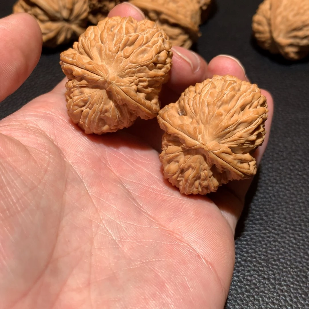 文玩核桃把件寿星头36