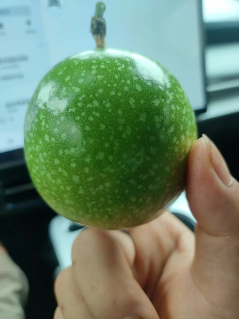 产地直发海南钦蜜9号百香果