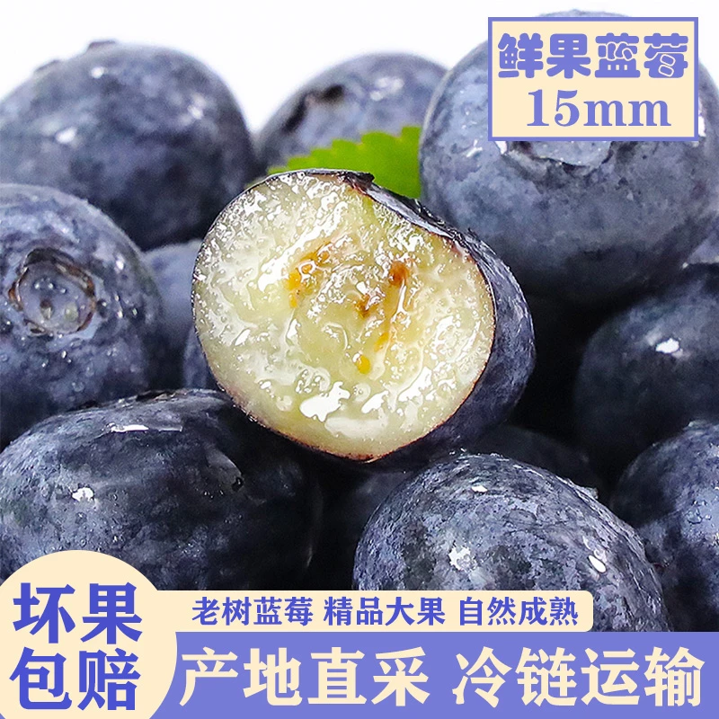 【大果15-18mm】高山花香蓝莓鲜果 应季蓝莓果 酸甜爆汁100g/盒