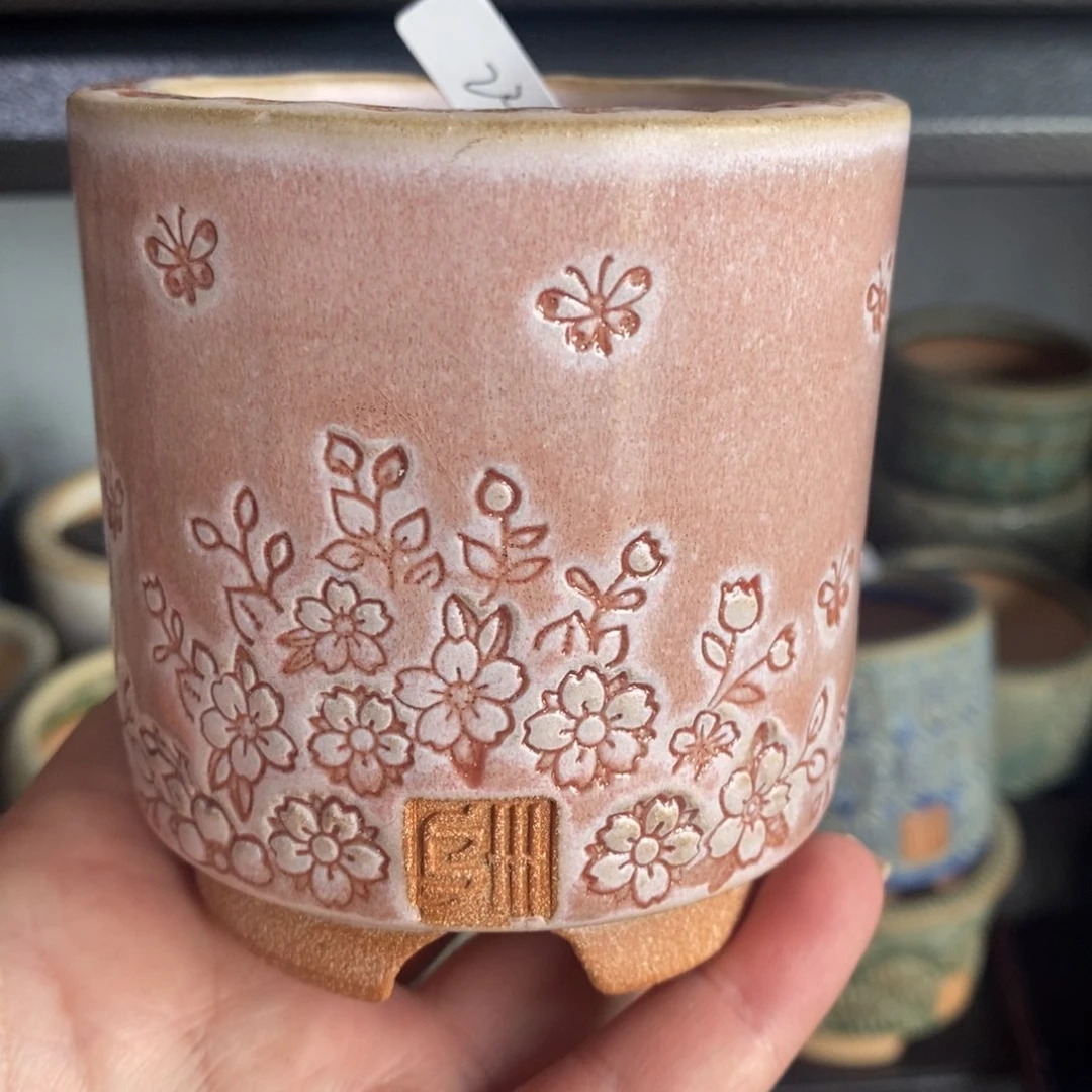 妲己落英仕女杯6口