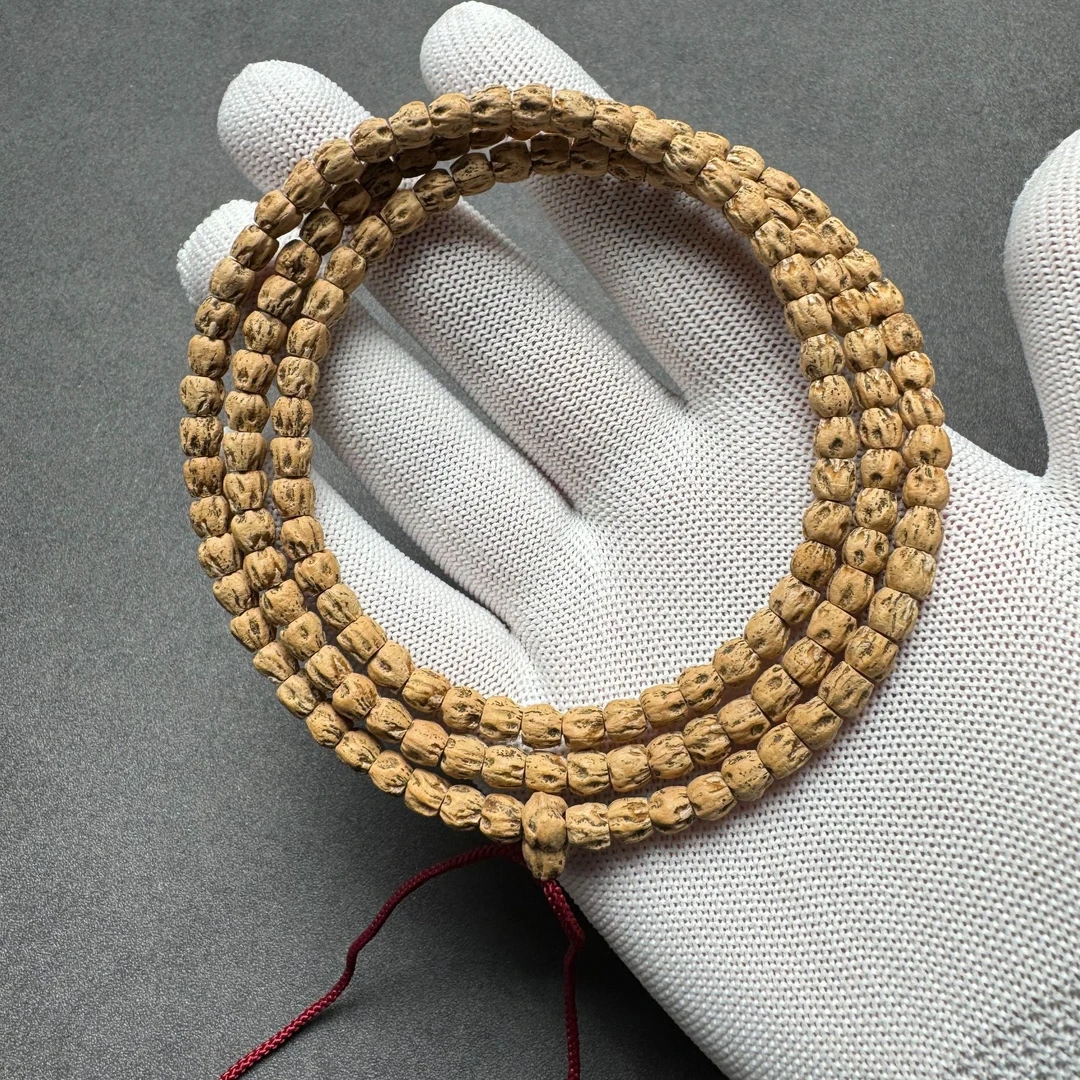 热振红牙口百香籽108，尺寸6mm左右