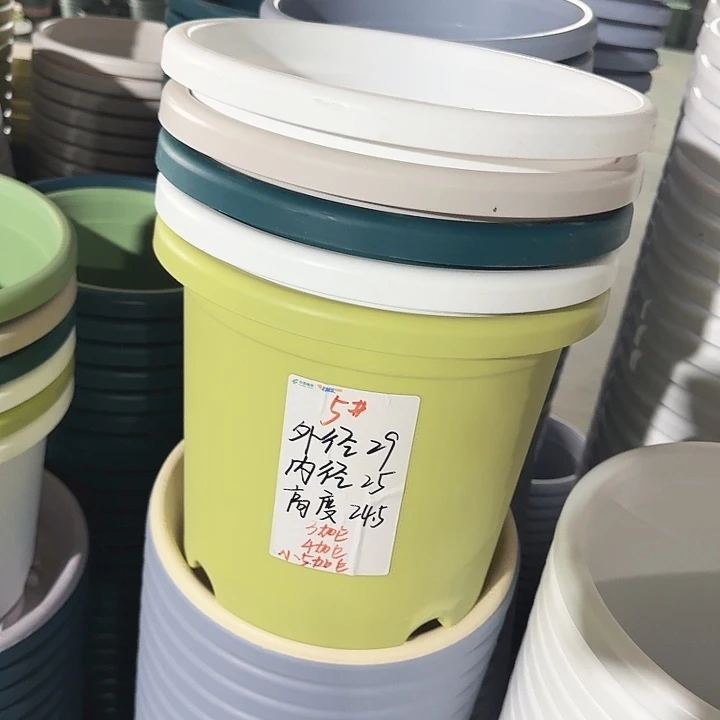 四季5#果绿5个无托口径29