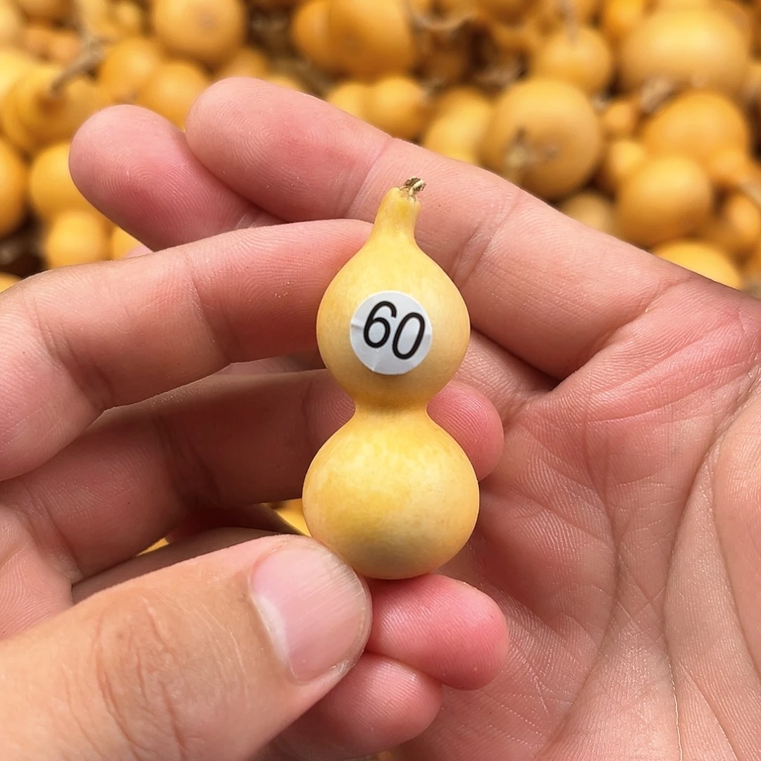 一葫芦葫芦葫芦葫芦60