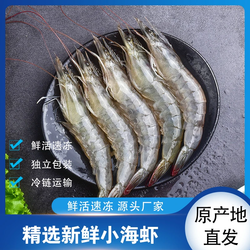 【专属】海洋虾海捕速冻小海虾水冻冷链直发60只左右/斤大虾海鲜