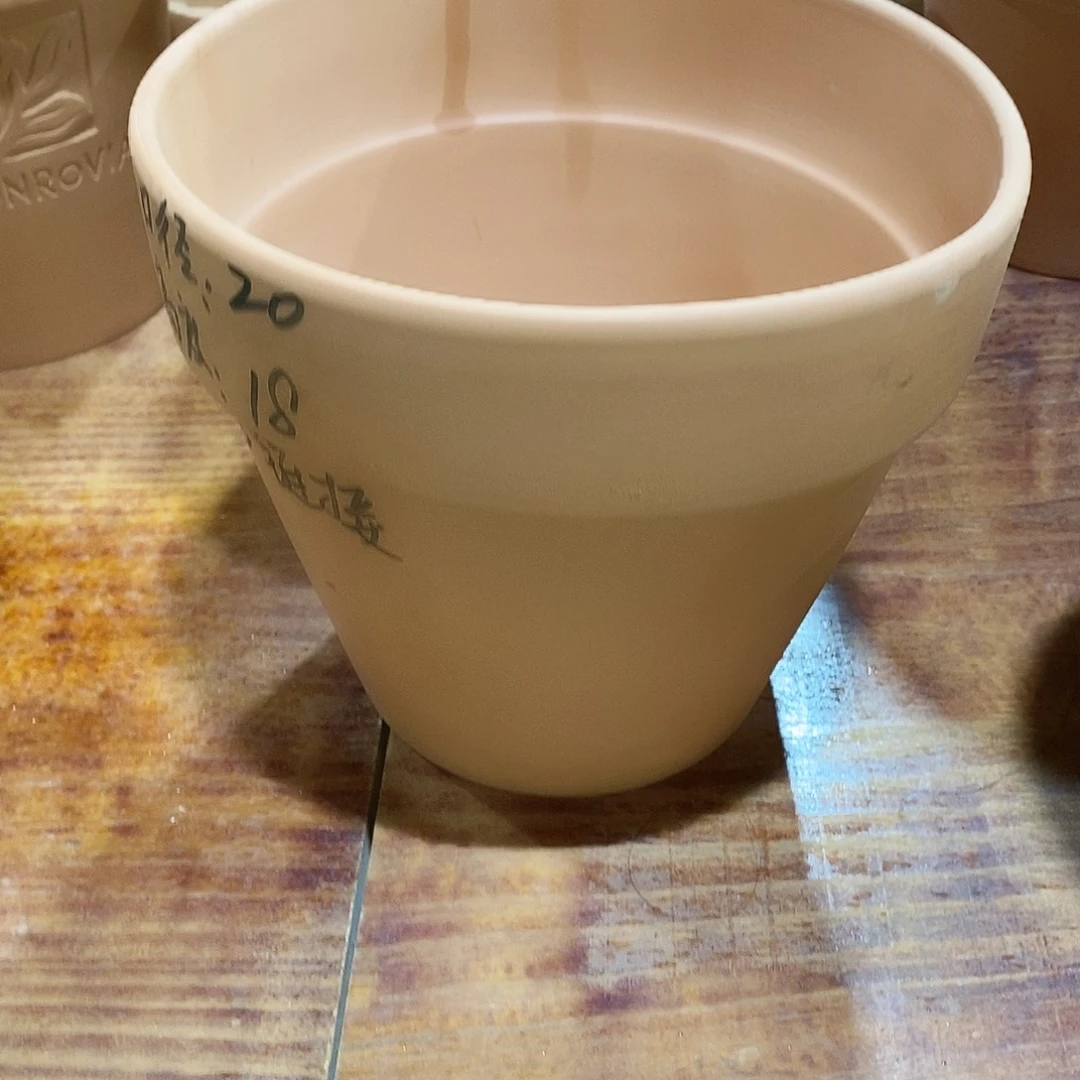 红陶20×18-1