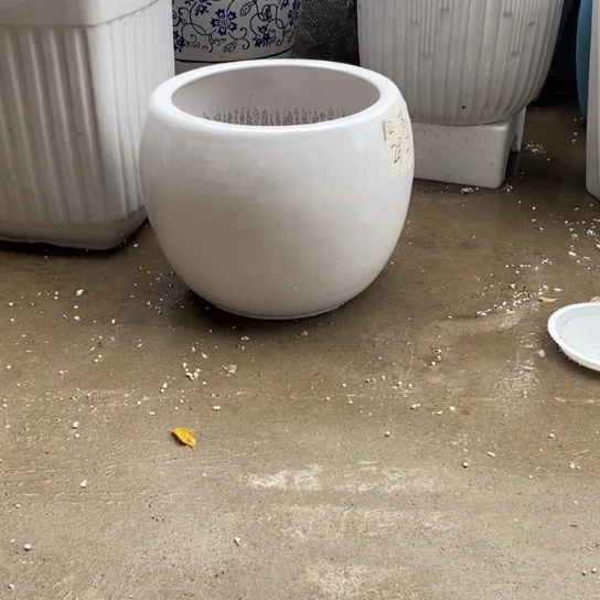 白球大号口28高25福利