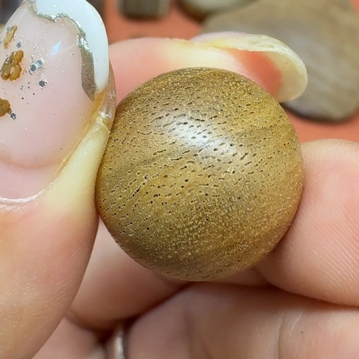 大叶紫檀（黑酸枝木类）