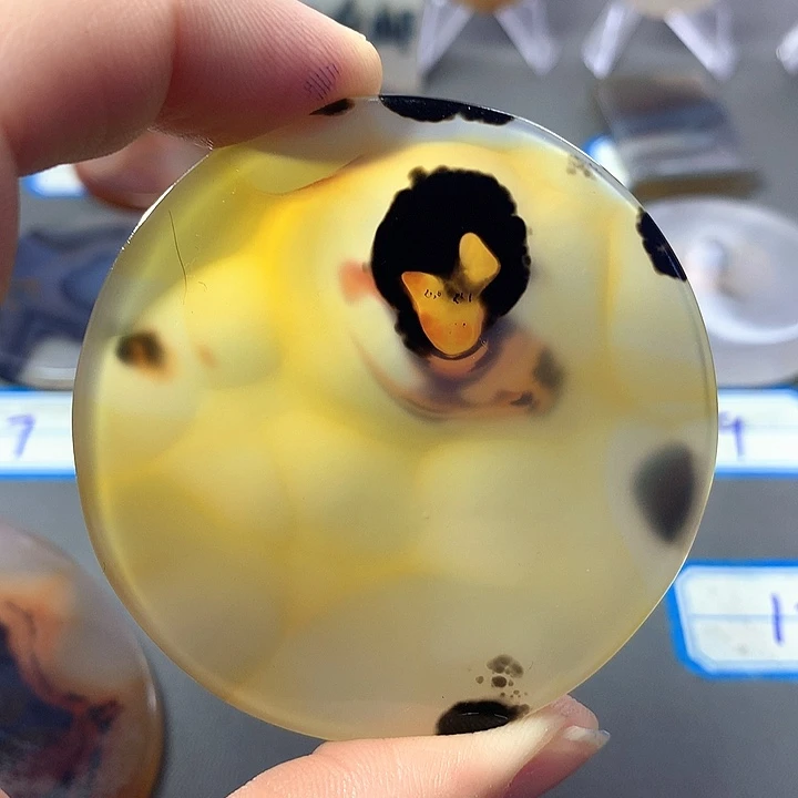 未镶嵌颈饰玛瑙/玉髓