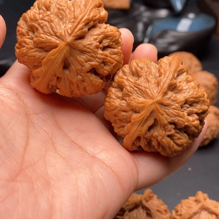 文玩核桃把件毕业粗筋47尺